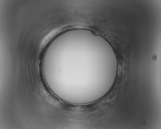 X0000115780197200911271212