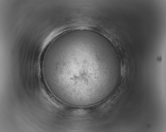 X0000115780198200911271212