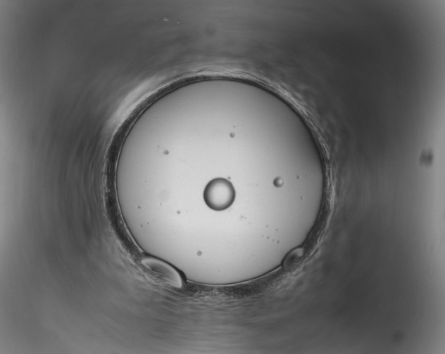 X0000115780199200911271212