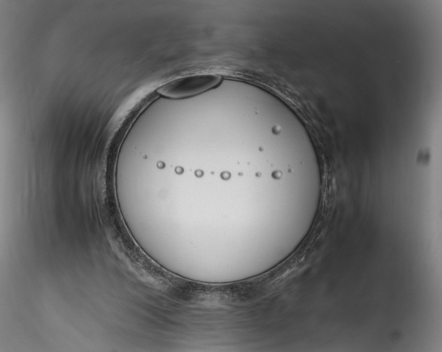 X0000115780200200911271211