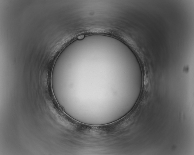 X0000115780201200911271211