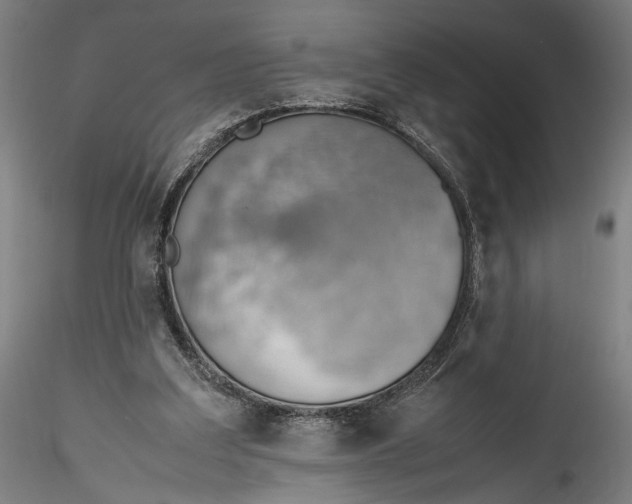 X0000115780203200911271211