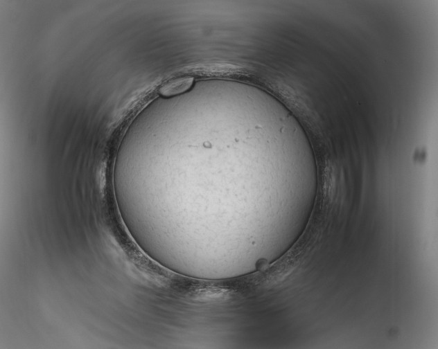 X0000115780206200911271211