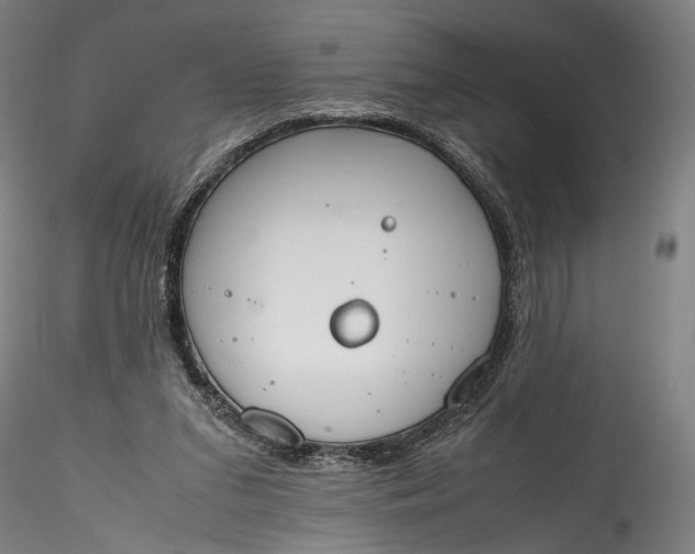 X0000115780207200911271211