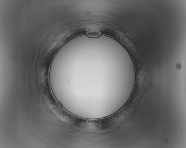 X0000115780209200911271211