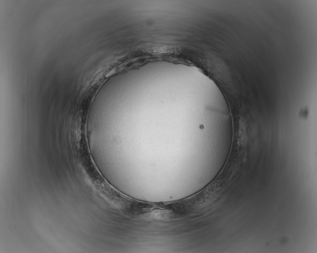 X0000115780210200911271211