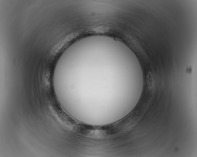 X0000115780212200911271211