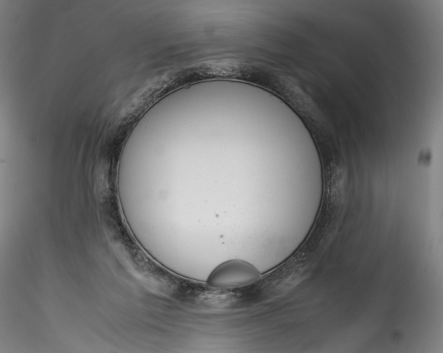 X0000115780213200911271211