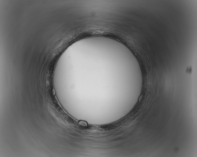 X0000115780215200911271211