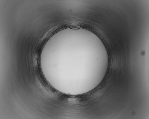 X0000115780216200911271211