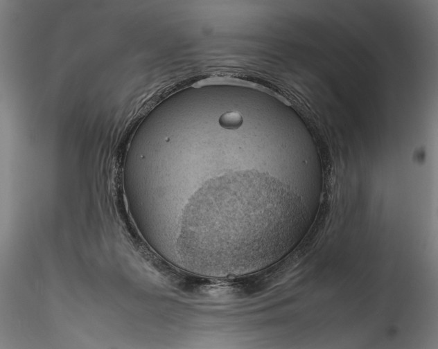 X0000115780219200911271211