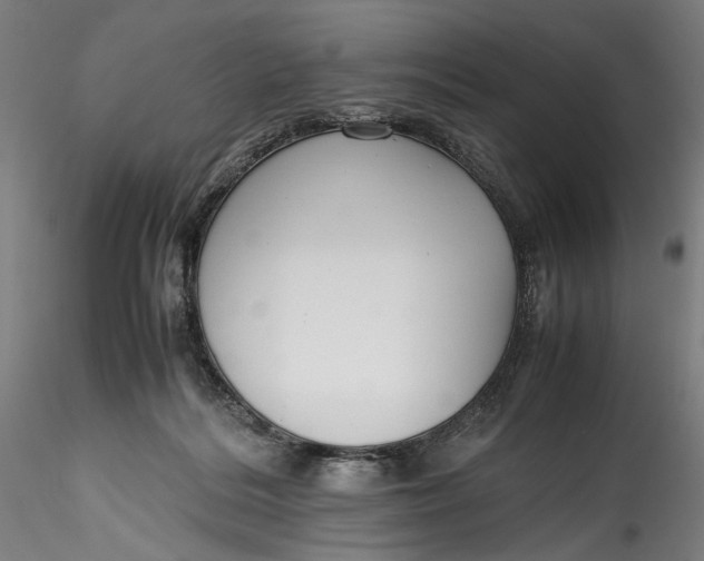 X0000115780220200911271211