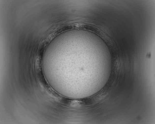 X0000115780222200911271211