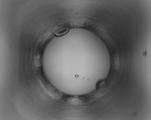 X0000115780224200911271211