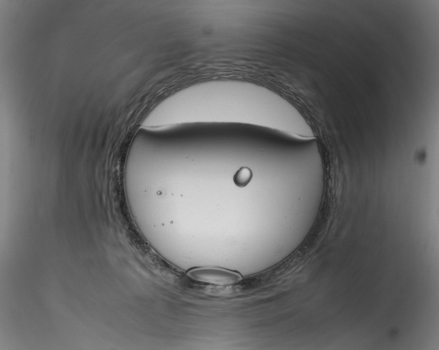 X0000115780225200911271211