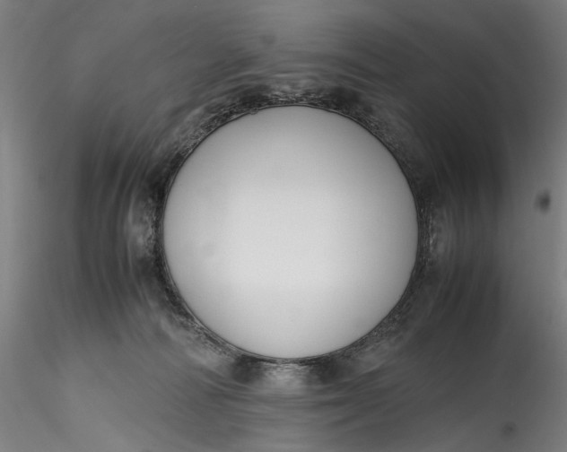 X0000115780226200911271211