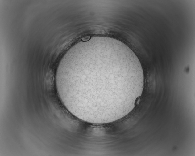 X0000115780228200911271211