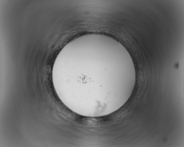 X0000115780229200911271211