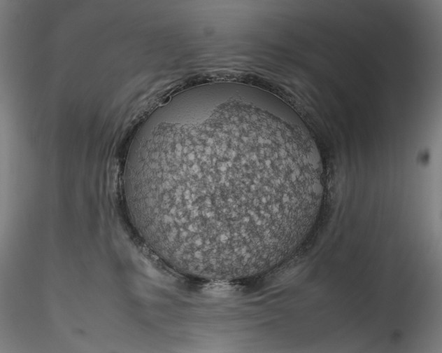 X0000115780231200911271211