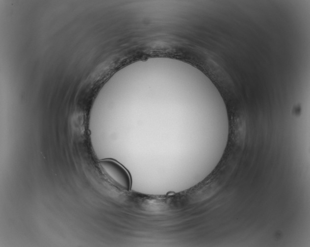 X0000115780232200911271211