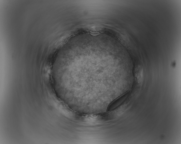 X0000115780235200911271211