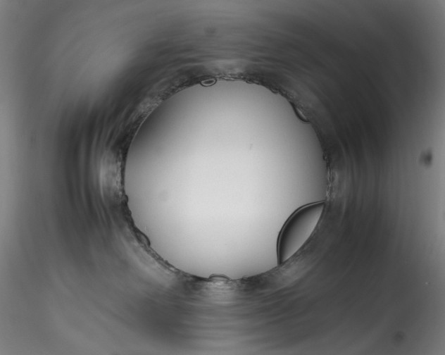 X0000115780238200911271211