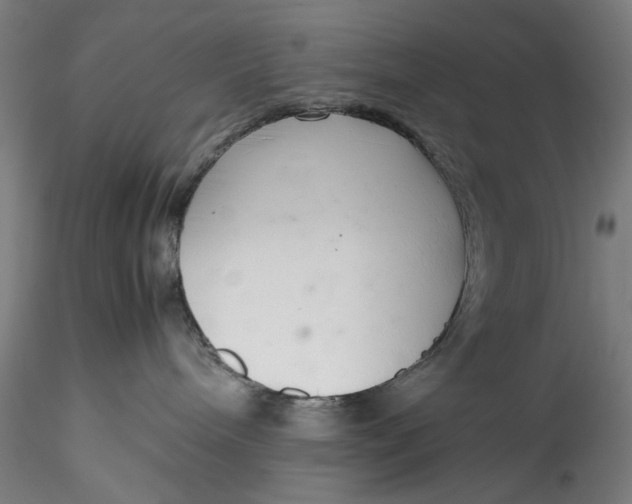 X0000115780240200911271211