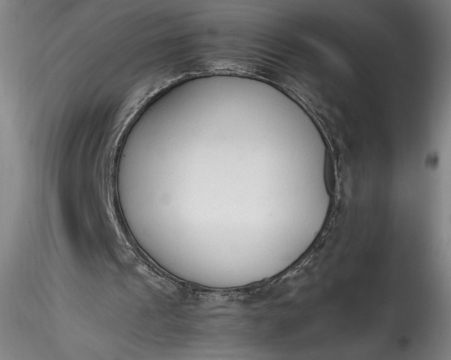 X0000115780241200911271210