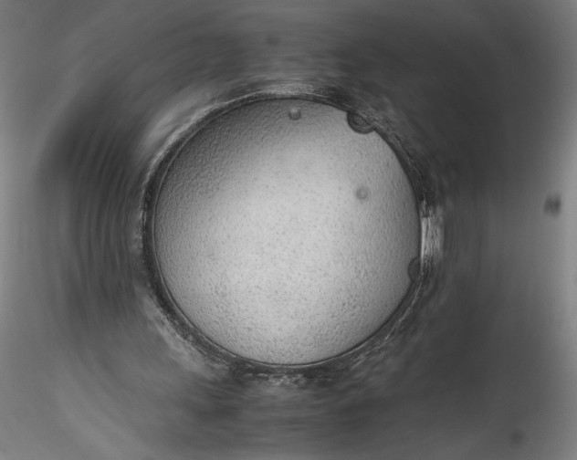 X0000115780243200911271210