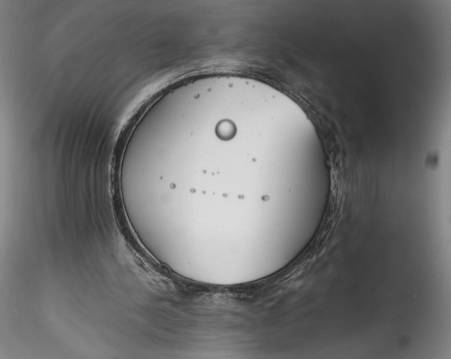 X0000115780244200911271210