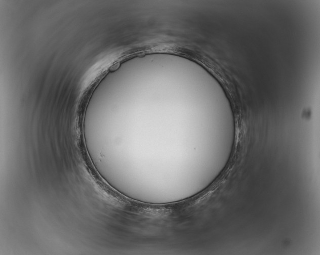 X0000115780245200911271210