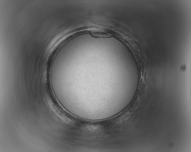 X0000115780247200911271210