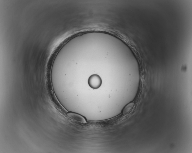 X0000115780248200911271210