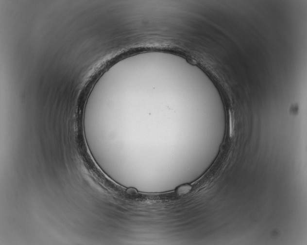 X0000115780252200911271210