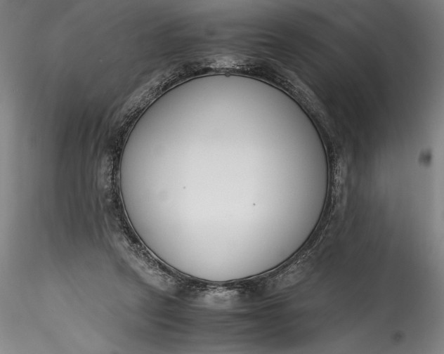 X0000115780257200911271211