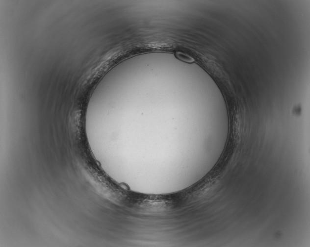 X0000115780260200911271211