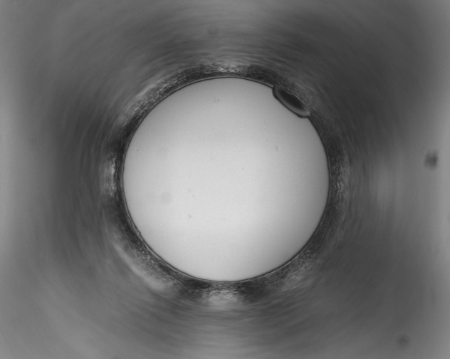 X0000115780262200911271211