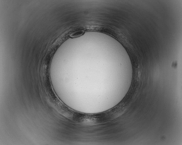 X0000115780263200911271211