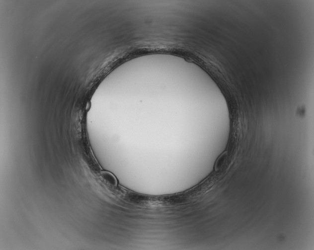 X0000115780264200911271211