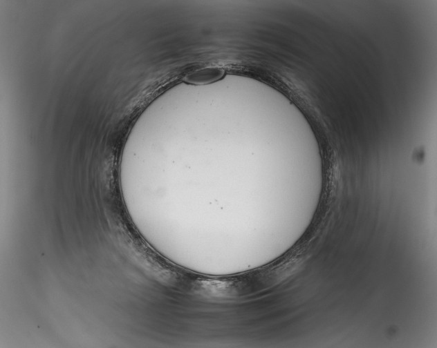 X0000115780265200911271211