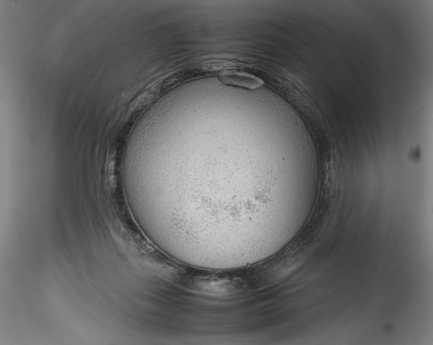 X0000115780267200911271211