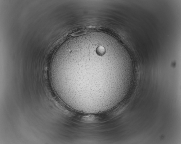 X0000115780269200911271211