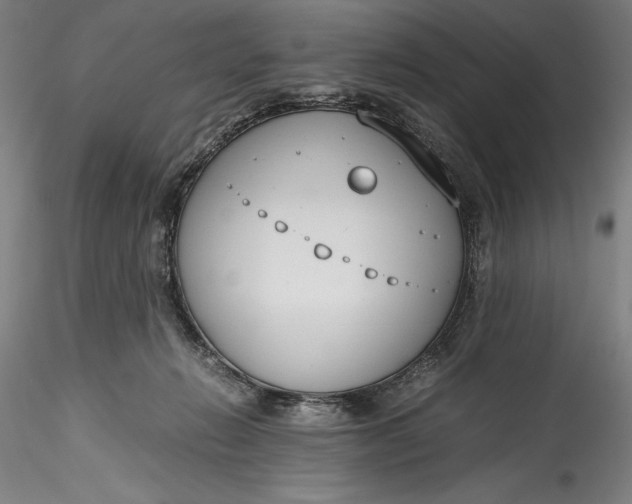 X0000115780270200911271211