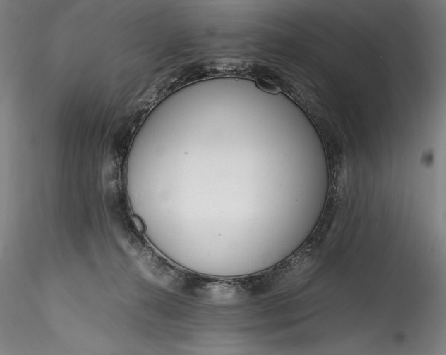 X0000115780272200911271211