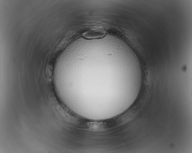 X0000115780273200911271211