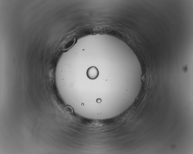 X0000115780276200911271211