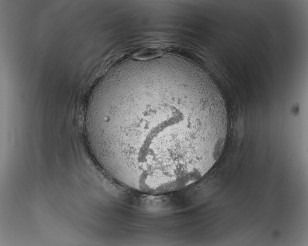 X0000115780277200911271211