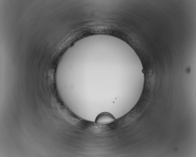 X0000115780278200911271211