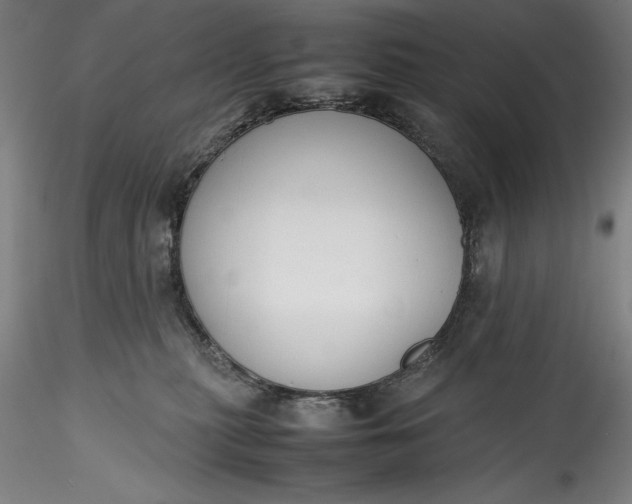 X0000115780279200911271211