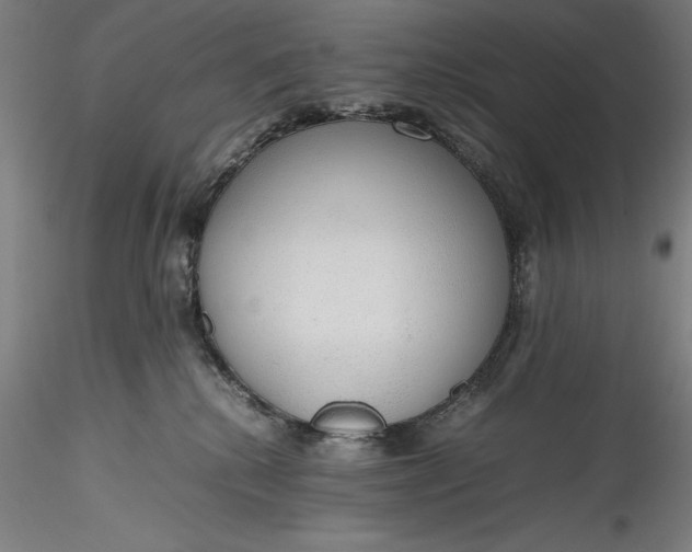 X0000115780280200911271211